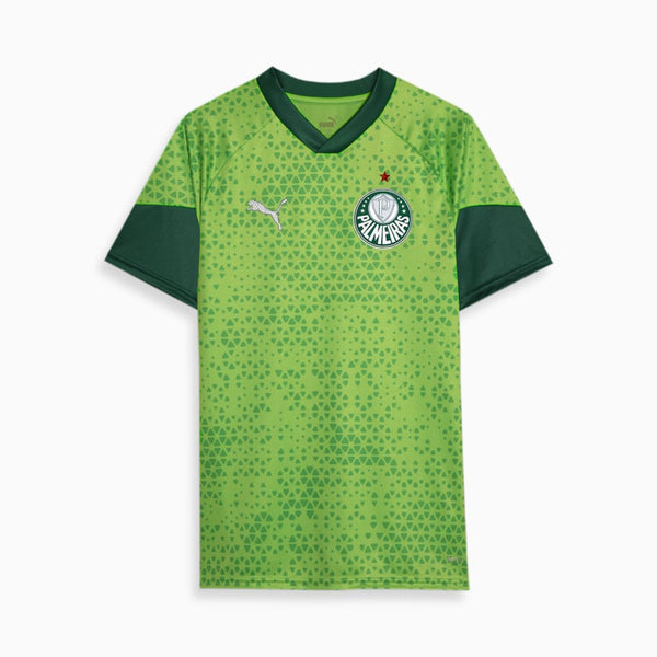 Camisa Palmeiras Treino e Viagem 24/25 - Torcedor Masculina